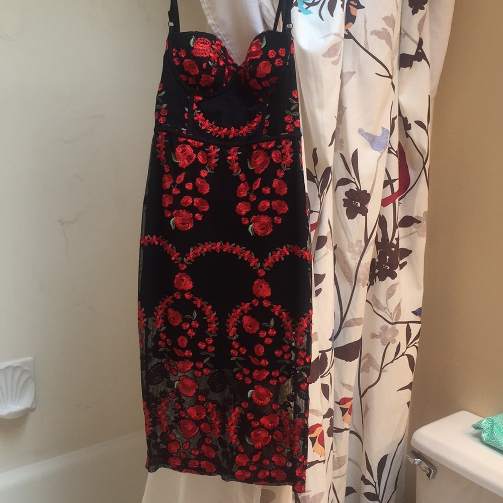 Nasty Gal Sworn to Secrecy embroidered dress - Picture 5 of 8